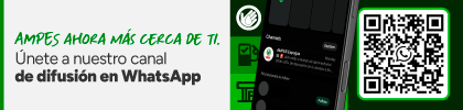 BannerWhatsapp